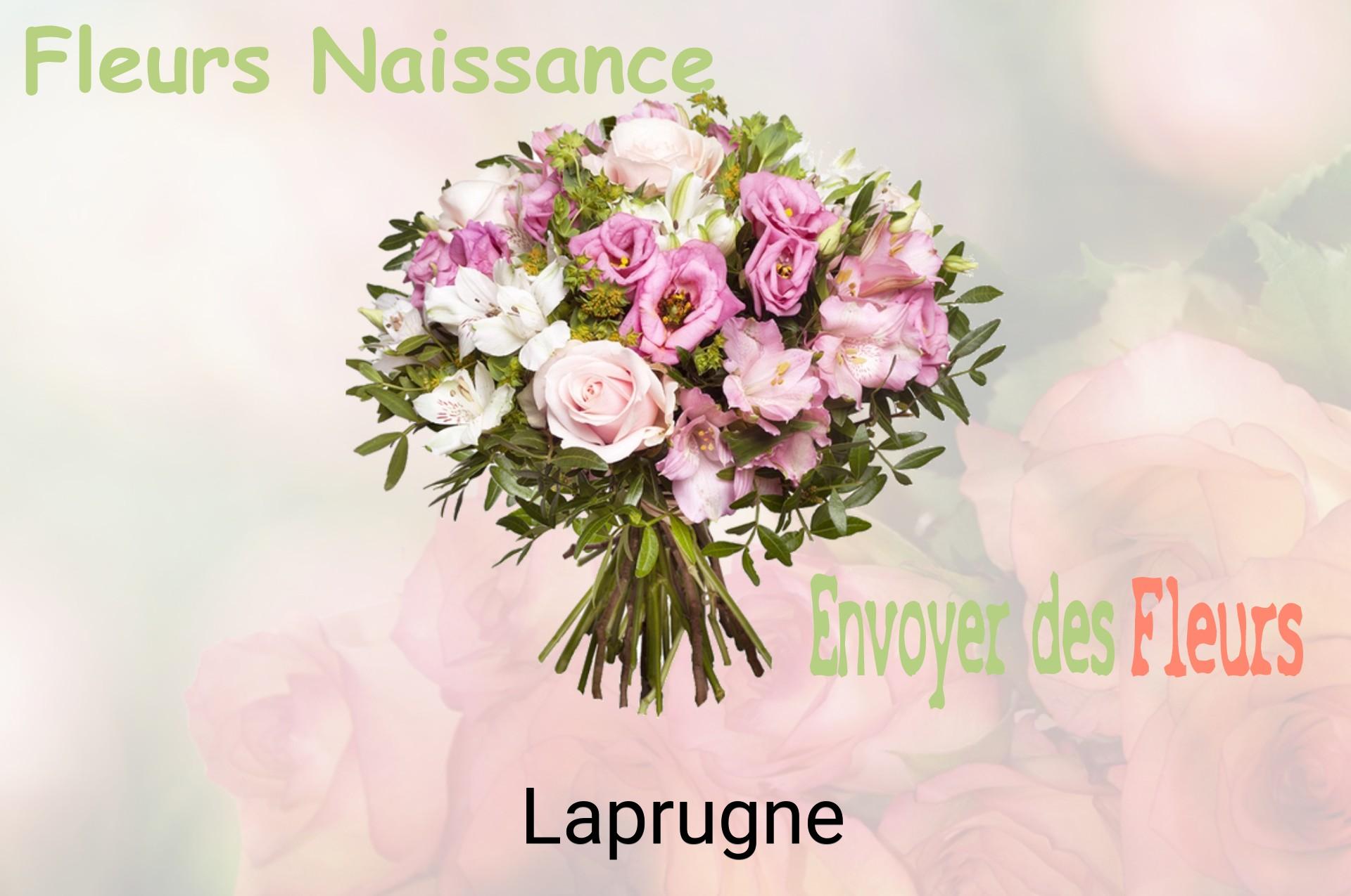 Bouquet de fleurs de naissance livré à Laprugne